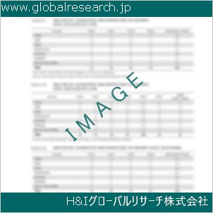 グローバルリサーチ調査資料のイメージ